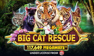 Big Cat Rescue Megaways